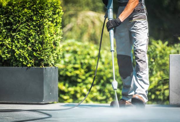 Best Fleet Vehicle Washing  in Morongo Valley, CA
